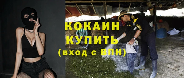 гашик Бородино
