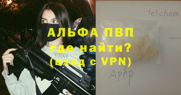гашик Бородино