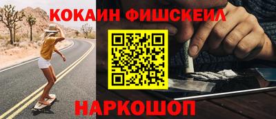 крисы Моздок