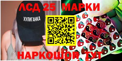 крисы Моздок