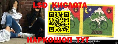 крисы Моздок