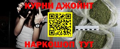 крисы Моздок