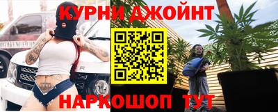 крисы Моздок