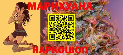 крисы Моздок