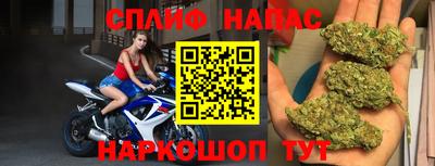 крисы Моздок