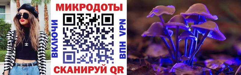 Псилоцибиновые грибы Cubensis  Городец 