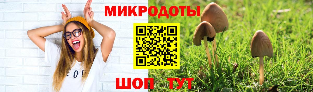 Галлюциногенные грибы Psilocybe  Вход с VPN  Городец 