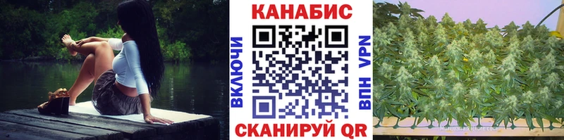 закладка  Городец  Шишки марихуана THC 21% 